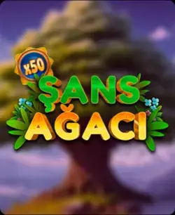 Şans Ağacı