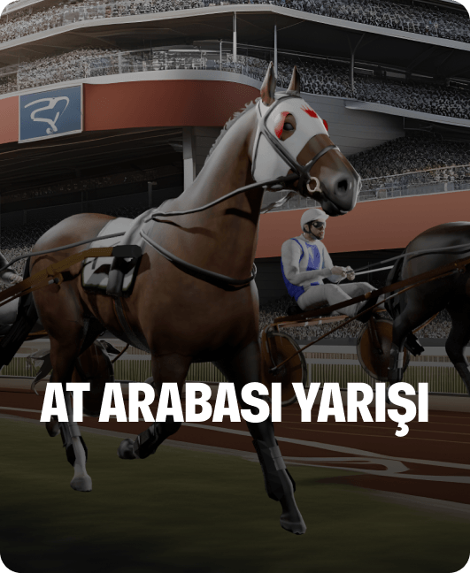 At Arabası