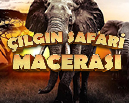 https://cdn.bi-api.com/menu/cilgin-safari-macerasi-oyna_698f2a23afff5.png
