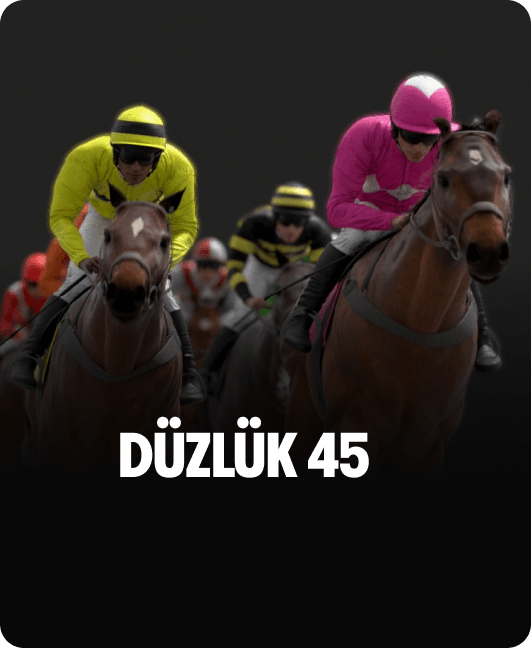 Düzlük 45