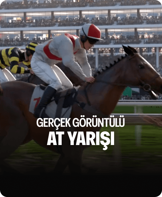Gerçek Görüntülü At Yarışı