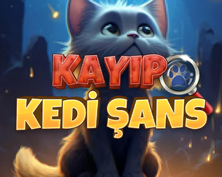 https://cdn.bi-api.com/menu/kayip-kedi-sans-oyna_698f2a3f5d0a9.png