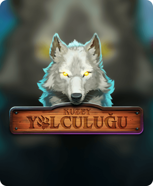 Kuzey Yolculuğu