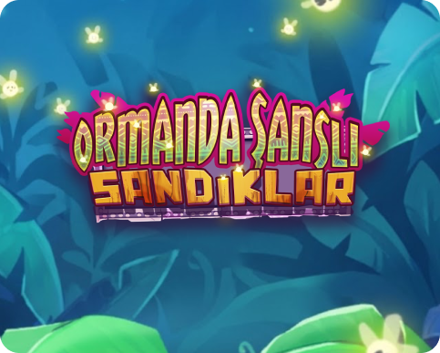 Ormanda Şanslı Sandıklar