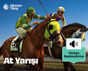 At Yarışı