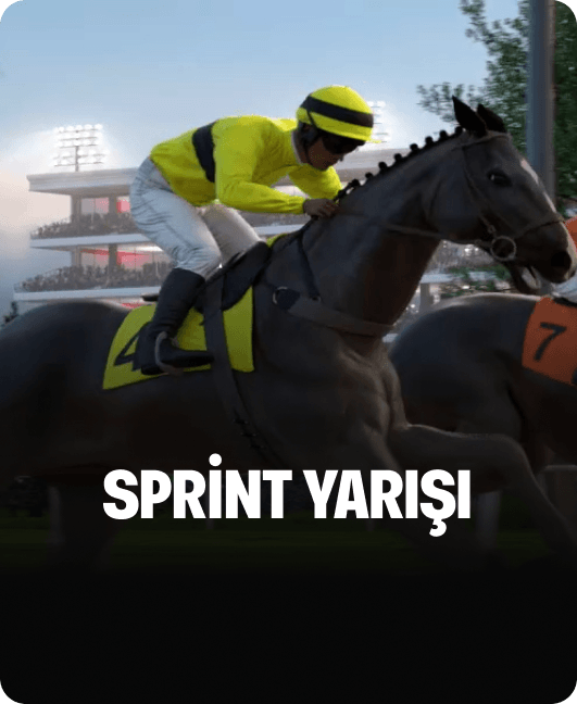 Sprint Yarışı